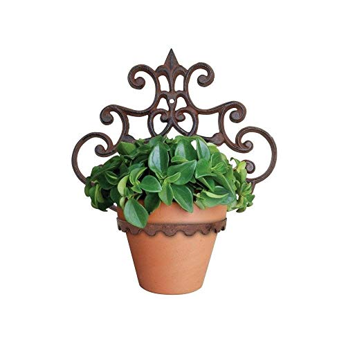 Homescapes Gusseisen Wand montiert hängenden Korb Pflanze Topf Halter dekorative Blumentopf Halter für Garten Wände und Zäune von Homescapes