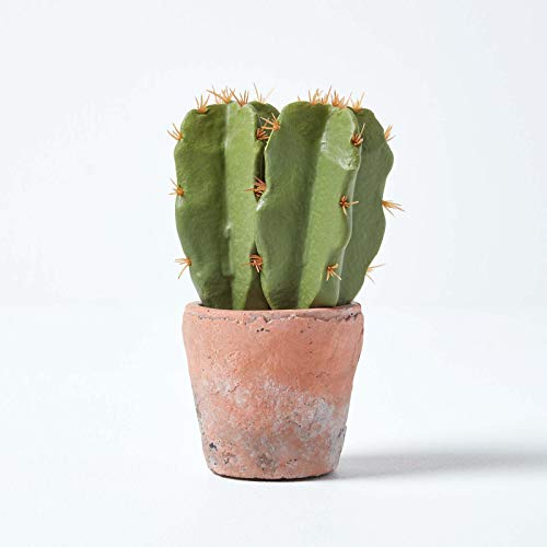 Homescapes Klein Künstlicher Kaktus in Topf aus Terrakotta, 17 cm hoch von Homescapes