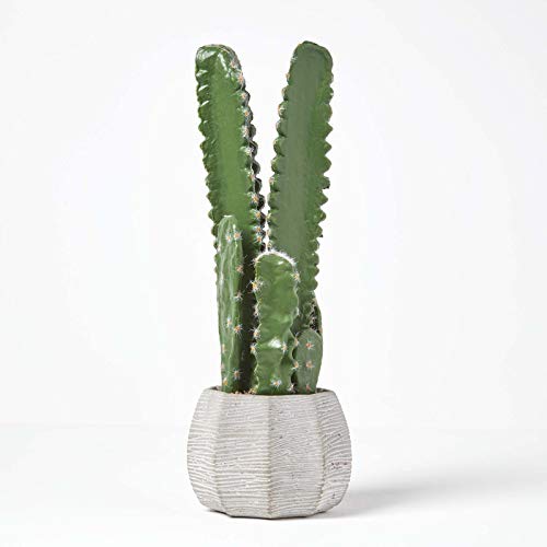 Homescapes Künstlicher Kaktus im Keramik Topf, große künstliche sukkulente Pflanze – San Pedro Kaktus ca. 50 cm hoch, tolle Dekoration für Kaffeetisch, Schreibtisch oder Fensterbank von Homescapes