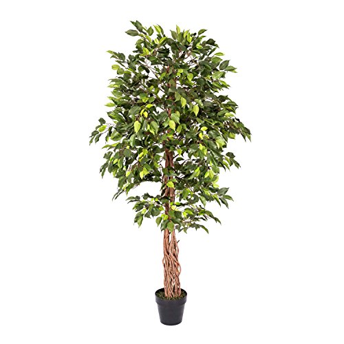 HOMESCAPES Kunstbaum Ficus Benjamini grün 180 cm von Homescapes