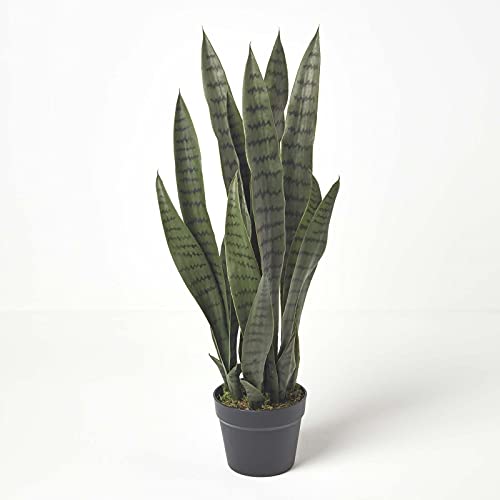 HOMESCAPES Kunstpflanze Sansevieria Trifasciata, künstlicher Bogenhanf/Schwiegermutterzunge im Topf, grün, dekorative künstliche Sukkulente für den Indoor-Bereich, 74 cm hoch von Homescapes