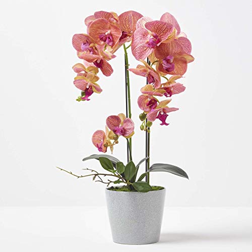 Homescapes große Kunstorchidee im Topf, hochwertige künstliche Orchidee mit pfirsichfarbenen Blüten, Deko-Orchidee Phalaenopsis im grauen Keramiktopf, Kunstblumen, 58 cm hoch von Homescapes