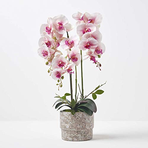 Homescapes große Kunstorchidee im Topf, hochwertige künstliche Orchidee mit rosa-weißen Blüten, Deko-Orchidee Phalaenopsis im hellgrauen Übertopf, dekorative Kunstblume, 64 cm hoch von Homescapes