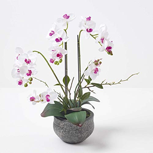 Homescapes große Kunstorchidee im Topf, hochwertige künstliche Orchidee mit weißen Blüten, Deko-Orchidee Phalaenopsis im grauen Beton-Blumentopf, dekorative Kunstblume, 52 cm hoch von Homescapes
