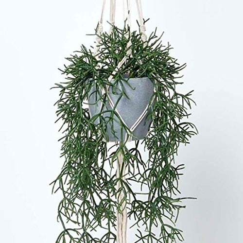 Homescapes hängende Kunstpflanze im Topf mit Makramee-Blumenampel zum Aufhängen, künstliche Hängepflanze Rhipsalis mit Melamin-Topf, künstliche Pflanze, Korallenkaktus im Pflanzenampel, 116 cm von Homescapes