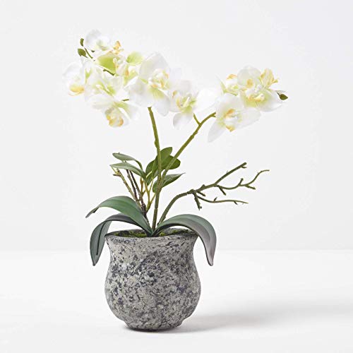 Homescapes mittelgroße Kunstorchidee im Topf, hochwertige künstliche Orchidee mit weiß-grünen Blüten, Deko-Orchidee Phalaenopsis im dunklen Übertopf, dekorative Kunstblume, 32 cm hoch von Homescapes