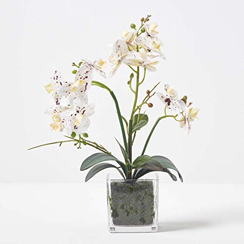 Homescapes mittelgroße Kunstorchidee im Topf, hochwertige künstliche Orchidee mit weißen Blüten, Deko-Orchidee Phalaenopsis im Glastopf, dekorative Kunstblume, 42 cm hoch von Homescapes
