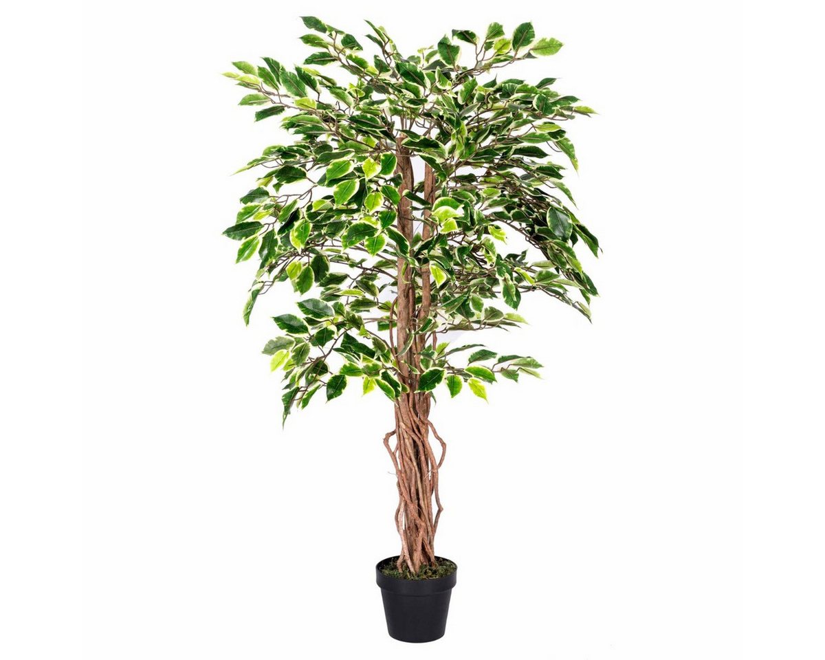 Kunstbaum Kunstbaum Ficus Benjamini grün weiß 122 cm, Homescapes, Höhe 120 cm Kunstbaum Kunstbaum Ficus Benjamini grün weiß 122 cm, Homescapes, Höhe 120 cm von Homescapes