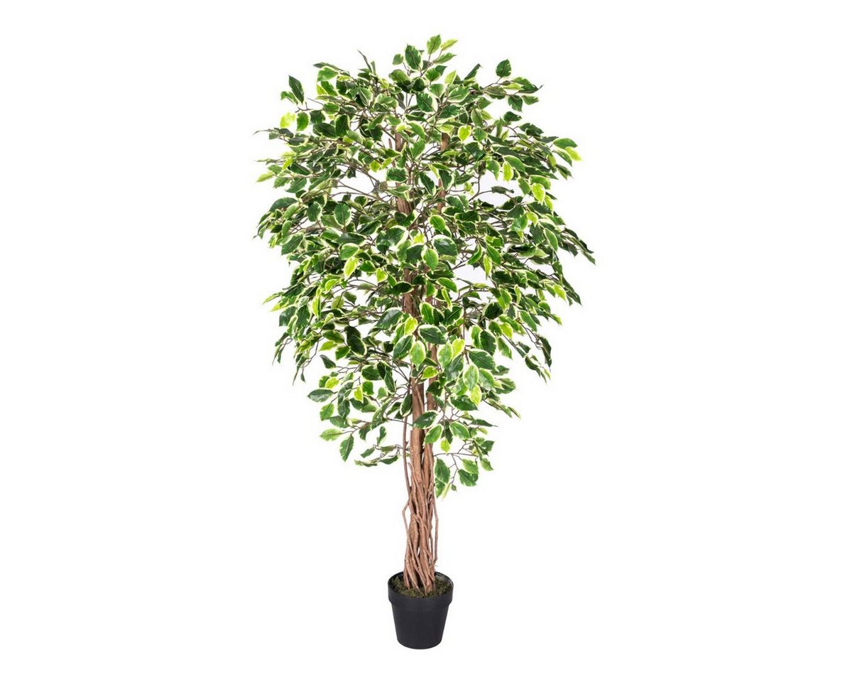Kunstbaum Kunstbaum Ficus Benjamini grün weiß 180 cm, Homescapes, Höhe 180 cm von Homescapes