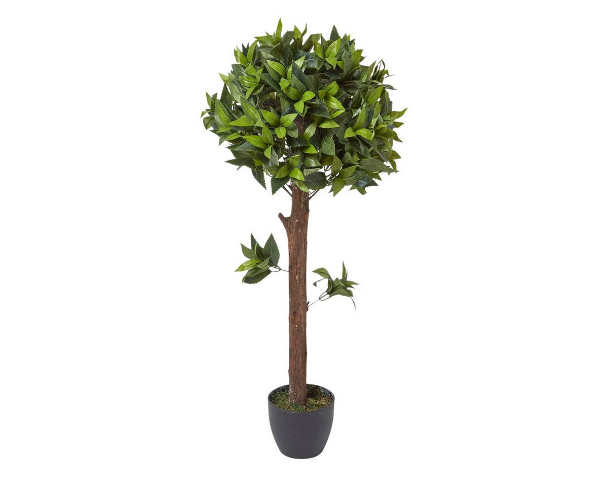 Kunstbaum Kunstpflanze Lorbeerbaum formgeschnitten Kugel, Homescapes, Höhe 91 cm von Homescapes