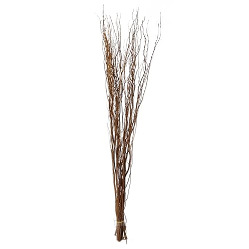 Homestreet Verdrehter Weidenzweigstrauß für bodenstehende Vasen und Displays, 120 cm hoch, in Braun, Schwarz, Silber, Gold oder Natur (Schokolade) von Homestreet