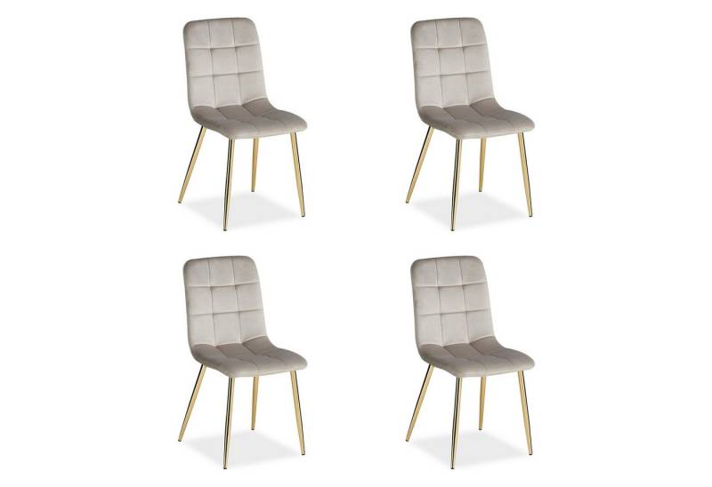 Homestyle4u Polsterstuhl Küchenstuhl modern Esszimmer Grau Beige gesteppt weich (4er Set), Samtbezug, Füße in Gold von Homestyle4u