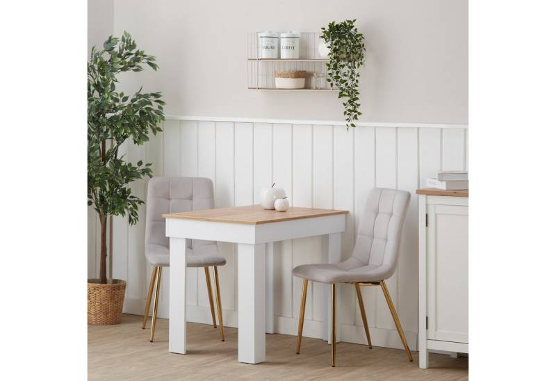 Homestyle4u Polsterstuhl Küchenstuhl modern Esszimmer Grau Beige gesteppt weich Esstisch (2 Stühle), Samtbezug, Füße in Gold von Homestyle4u