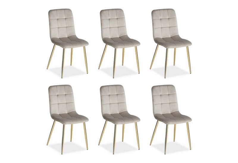 Homestyle4u Polsterstuhl Küchenstuhl modern Esszimmer Grau Beige gesteppt weich Esstisch (6 Stühle), Samtbezug, Füße in Gold von Homestyle4u