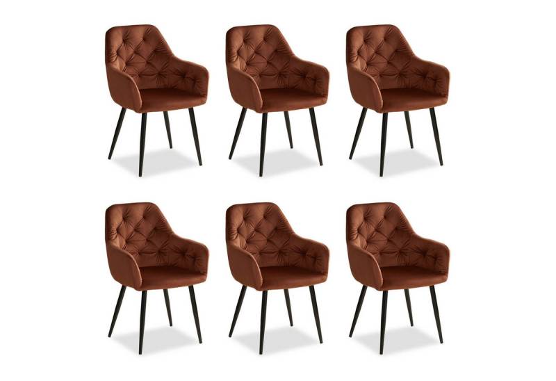 Homestyle4u Polsterstuhl mit Armlehne Sessel Esszimmerstuhl Samt Gestell Schwarz Esszimmer (6er Set, 6 Stühle, 6 St), Küchenstuhl, Braun, Bronze, für Esstisch, Essstuhl von Homestyle4u