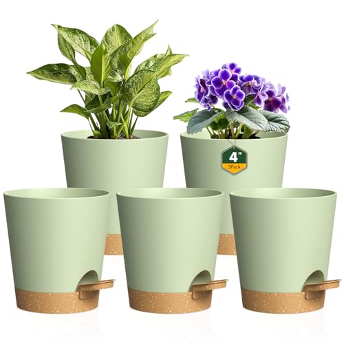 Homeuouz 5er Set Kleine Selbstbewässerungstopf 10,2 cm – Blumentöpfe aus mattem Kunststoff mit Untersetzer, für Kräuter & Zimmerpflanzen,Grün-Braun von Homeuouz