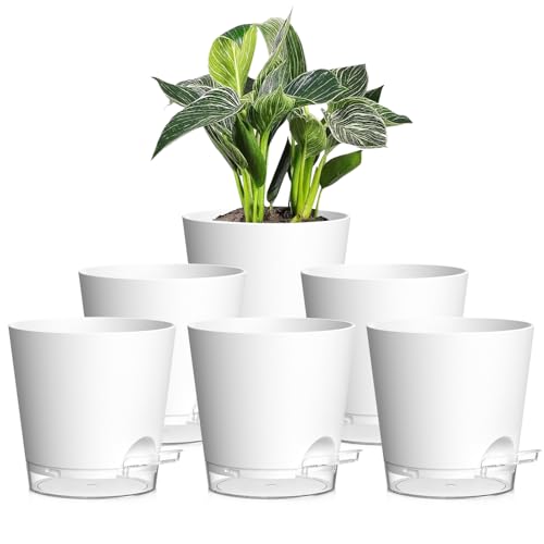 Homeuouz 6er Set Selbstbewässerungstopf – 15,2 cm Blumentopf mit Bewässerungssystem, selbstwässernder Blumentopf in Matter Optik, für Balkon & Innenbereich, Weiß mit klarem Untersetzer von Homeuouz