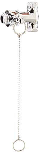 Homewerks Selbstschließendes Duschventil mit Zugkette, chrom 3070-300-CH-B von Homewerks Worldwide