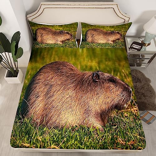 3D Capybara Bettwäsche Sets 140x200x30,Kawaii Capybara Tiere Liebhaber Spannblech Blatt Schlafzimmer Dekor,Nagetiere Tiere Bettlaken,Natürliche Themenblätter mit 1 Kissenbezugn Die Ganze Jahreszeit von Homewish