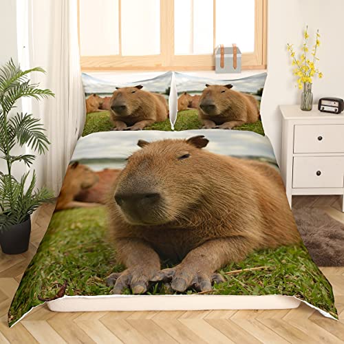 Capybara Bettwäsche 135x200 Lustige Capybara Tiere Bettbezug für Kinder Jungen Mädchen Erwachsene Süßes Capybara Bettwäsche Set 3D Wildtier Thema Schlafzimmer Dekor Weicher Gemütlicher Bettbezug von Homewish