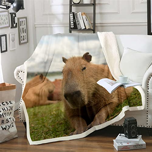 Capybara Decke 130x150 Lustige Capybara Tiere Decke Werfen für Kinder Jungen Mädchen Erwachsene Süßes Capybara Druck Fleece Decke 3D Wildtier Thema Schlafzimmer Dekor Weicher Gemütlicher Fuzzy Decke von Homewish
