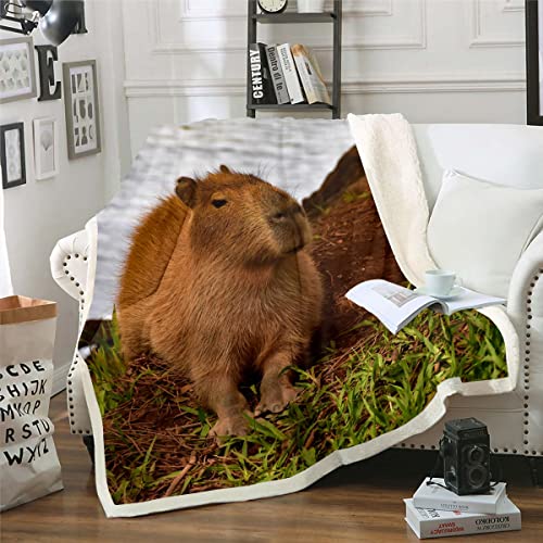 Capybara Decke 130x150 für Kinder Jungen Mädchen Süßes Capybara Das Sich Im Gras Entspannt Decke Werfen für Schlafsofa Lustiges Tier Fleece Decke Schön 3D Capybara Gedruckt Weicher Fuzzy Decke von Homewish