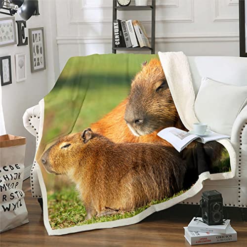 Capybara Decke Geschenke für Kinder Teens,Nette Capybara Decke Werfen 150x200 für Jungen Mädchen,Capybaras Basking in Der Sonne Fleece Decke Lustige Nagetiere Tiere Gedruckt Fuzzy Decke,Weich Warm von Homewish