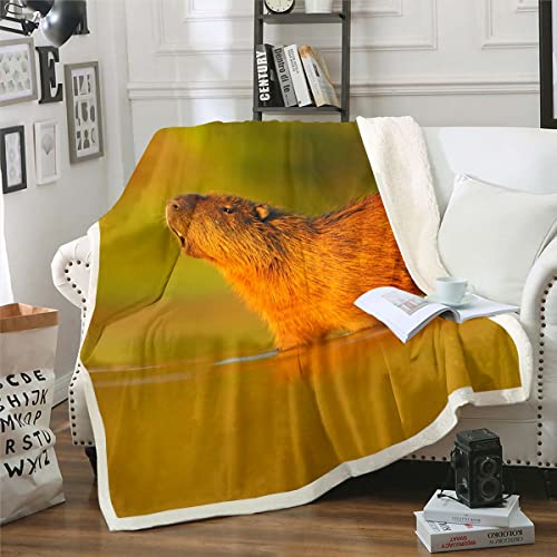 Capybara Decke Geschenke für Männer Frauen,Nette Capybara Decke Werfen 150x200 für Kinder Jungen Mädchen,Lustige Maus Nagetier Tier Fleece Decke Rustikale Sonnenuntergang Landschaft Fuzzy Decke von Homewish