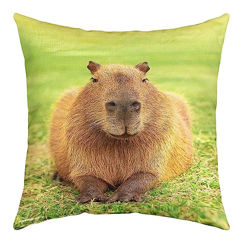Capybara Kissenbezug 45x45cm Sazt von 1, 3D Capybara Wurf Kissenbezug für Schlafsofa Couch, Nette Lustige Capybara Naturthema Kissenbezug, Botanisches Unkraut Dekorative Quadratische Kissenbezug von Homewish