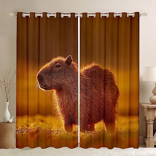 Capybara Vorhänge für Zuhause,Nette Capybara Vorhänge,3D Capybara Verdunkelung Sonnenuntergang Natürliche Thema Verdunkelung Vorhänge,Südamerika Nagetiere Tiere Fenster Behandlungen,2 Panels 117Bx137L von Homewish