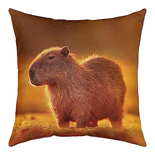 Capybara Werfen Kissenbezug für Bett Couch,Niedliche Capybara Kissenbezug,Kawaii 3D Capybara Kissenbezug,Sonnenuntergang Natürliche Südamerika Nagetiere Tiere Dekorative Kissenbezug,40x40cm Sazt von 1 von Homewish