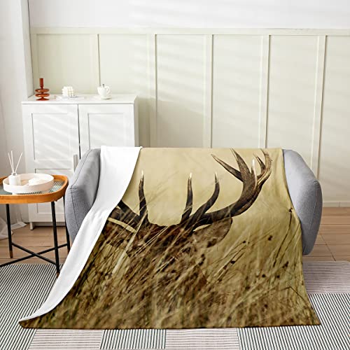 Homewish Geweih-Flanell-Decke ganzjährig Weißwedelhirsch-Überwurf Wohnzimmer-Dekoration Hirsch Wald Fleece-Decke für Kinder Jungen Mädchen rustikal Bauernhaus Jagd Tier Fuzzy-Decke weich, 150 x 200 von Homewish