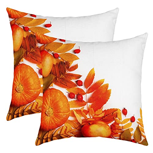 Herbst Halloween Kissenbezüge 50x50 Set von 2, Orange Kürbis Wurf Kissenbezüge Herbst Blätter Früchte Kissenbezüge für Schlafzimmer Wohnzimmer Natürliche Ernte Pflanzen Dekor Akzent Kissenbezüge von Homewish