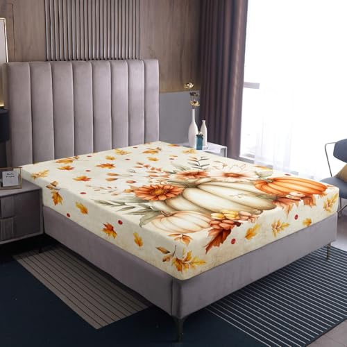 Homewish Herbst Kürbis Bettlaken 160x200cm Ahornblätter Blumen Spannbetttuch für Kinder Jungen Teenager,Süße Blätter Frohes Herbsternte Spannbettlaken Halloween Thanksgiving Geschenke Laken Homewish Herbst Kürbis Bettlaken 160x200cm Ahornblätter Blumen Spannbetttuch für Kinder Jungen Teenager,Süße Blätter Frohes Herbsternte Spannbettlaken Halloween Thanksgiving Geschenke Laken von Homewish