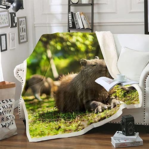 Lustige Capybara Decke 100x130 für Kinder Teens Erwachsene,Nette Capybara Entspannen im Gras Fleece Decke Lustige Maus Tier Decke Werfen für Jungen Mädchen,3D Capybara Gedruckte Fuzzy Decke Weiche von Homewish