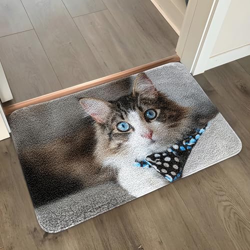 Badezimmermatte Braune Graue Katze Duschteppich Weich Bath Mat Saugfähige Duschvorleger rutschfest Badezimmerteppich Waschbar Badteppich Fußmatte Badezimmer Badmatte (50x80cm) von Homeyang