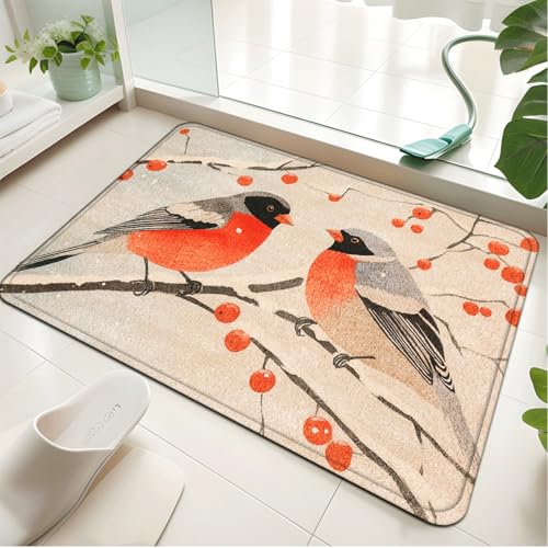 Badezimmermatte Orange Cute Bird Duschteppich Weich Bath Mat Saugfähige Duschvorleger rutschfest Badezimmerteppich Waschbar Badteppich Fußmatte Badezimmer Badmatte (50x80cm) von Homeyang