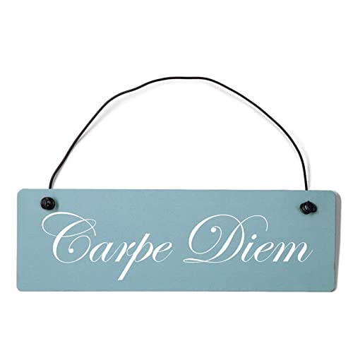 Deko Shabby Chic Schild Carpe Diem in hellblau Vintage Holz Türschild mit Draht von Homeyourself