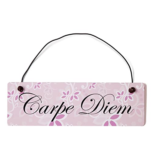 Deko Shabby Chic Schild Carpe Diem in rosa Vintage Holz Türschild mit Draht von Homeyourself