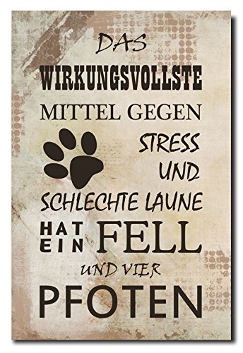 Homeyourself Hochwertiges Metallschild 30 x 20 cm aus Alu Verbund Das wirkungsvollste mittel gegen Stress und schlechte Laune hat Fell und Vier Pfoten Deko Schild Wandschild von Homeyourself