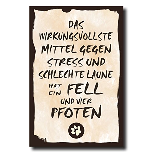 Holzschild Dekoschild Das wirkungsvollste Mittel gegen Stress und schlechte Laune hat Fell und vier Pfoten Hund mit Spruch 20x30cm Shabby Chic Vintage Wandschild Türschild Holzbild Holztafel Bild von Homeyourself