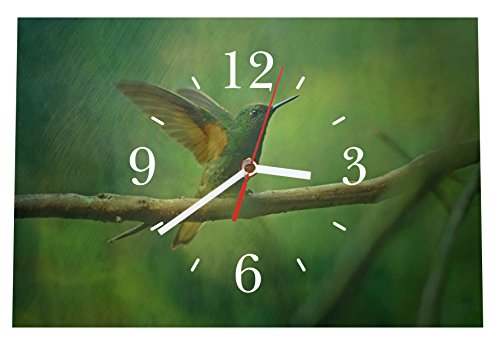 Homeyourself LAUTLOSE Designer Tischuhr Kolibri grün Standuhr modern Dekoschild Bild 30 x 20cm von Homeyourself