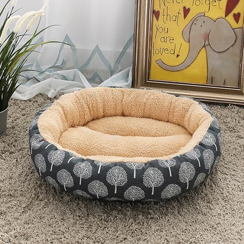 Katzenbetten für Hauskatzen,warm, für Winterkatzen, dick und kuschelig, für kleine Tiere, Kätzchen oder Welpen, ideal für Ruhe, Spiel, Reisen und drinnen und draußen Katzenbetten für Hauskatzen,warm, für Winterkatzen, dick und kuschelig, für kleine Tiere, Kätzchen oder Welpen, ideal für Ruhe, Spiel, Reisen und drinnen und draußen von Homg