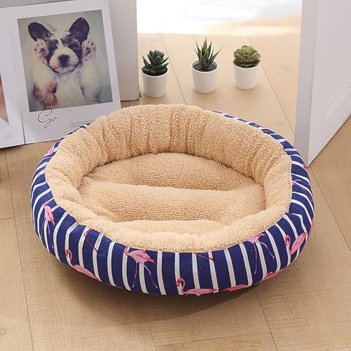 Katzenhaus Indoor, Katzenbett, Waschbares hundebett, Katzenhaus Indoor Mit Abnehmbarem Plüsch Kissenkissen, Verbessert Den Schlaf, Katzenhaus Für Draußen, für Welpe von Homg