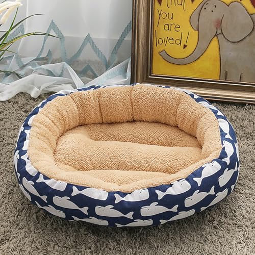 Katzenhaus Indoor, Katzenbett, Waschbares hundebett, Katzenhaus Indoor Mit Abnehmbarem Plüsch Kissenkissen, Verbessert Den Schlaf, Katzenhaus Für Draußen, für Welpe Katzenhaus Indoor, Katzenbett, Waschbares hundebett, Katzenhaus Indoor Mit Abnehmbarem Plüsch Kissenkissen, Verbessert Den Schlaf, Katzenhaus Für Draußen, für Welpe von Homg