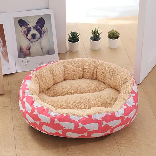 Katzenhaus Indoor, Katzenbett, Waschbares hundebett, Katzenhaus Indoor Mit Abnehmbarem Plüsch Kissenkissen, Verbessert Den Schlaf, Katzenhaus Für Draußen, für Welpe von Homg