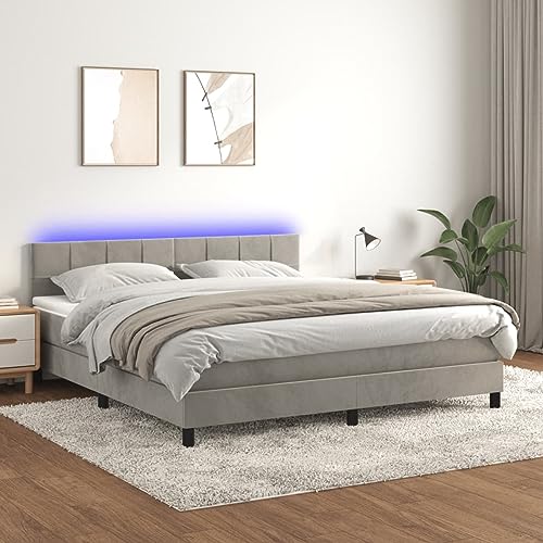 Homgoday Boxspringbett Matratze und LED Hellgrau 160 x 200 cm Samt Bett Bettrahmen Rahmen Rahmen Modernes Bett Struktur Wohnzimmer Schlafzimmer Model 3134411IT Homgoday Boxspringbett Matratze und LED Hellgrau 160 x 200 cm Samt Bett Bettrahmen Rahmen Rahmen Modernes Bett Struktur Wohnzimmer Schlafzimmer Model 3134411IT von Homgoday