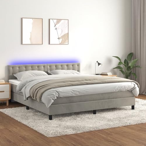 Homgoday Boxspringbett Matratze und LED Hellgrau 180 x 200 cm Samt Bett Bettrahmen Rahmen Rahmen Modernes Bett Struktur Wohnzimmer Schlafzimmer Modell 3134657IT Homgoday Boxspringbett Matratze und LED Hellgrau 180 x 200 cm Samt Bett Bettrahmen Rahmen Rahmen Modernes Bett Struktur Wohnzimmer Schlafzimmer Modell 3134657IT von Homgoday