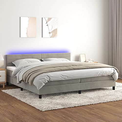 Homgoday Boxspringbett Matratze und LED Hellgrau 200 x 200 cm Samt Bett Bettrahmen Rahmen Rahmen Modernes Bett Struktur Wohnzimmer Schlafzimmer Model 3134483IT von Homgoday