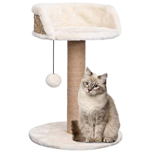 Homgoday Katzenbaum mit Kratzbaum 49 cm aus Giunco, Katzenspielzeug, Katzenspielzeug, Kratzbaum für Katzen, Kratzbaum Homgoday Katzenbaum mit Kratzbaum 49 cm aus Giunco, Katzenspielzeug, Katzenspielzeug, Kratzbaum für Katzen, Kratzbaum von Homgoday